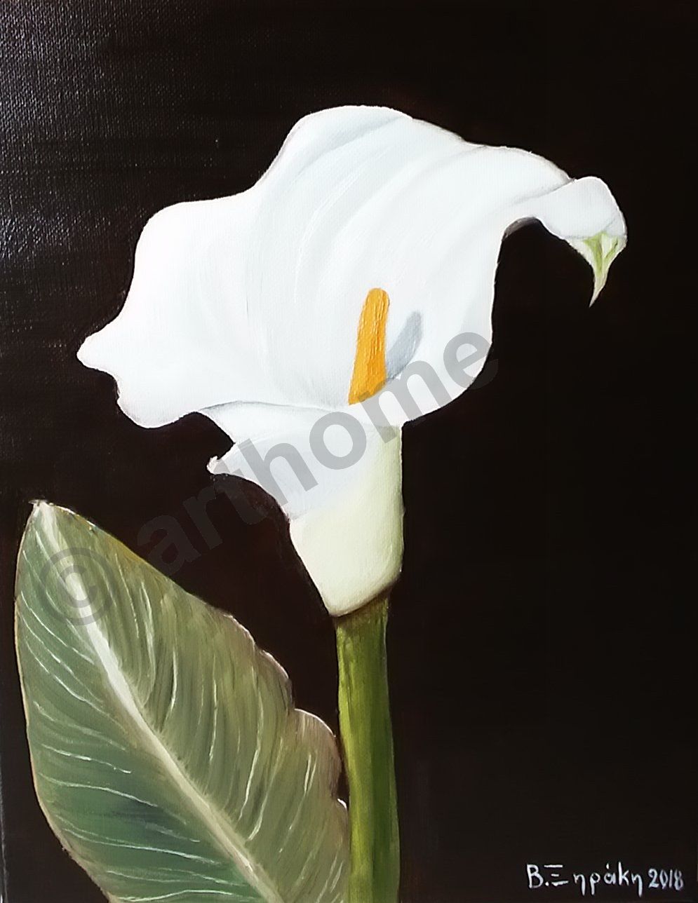 0161 - FROM MUMS GARDEN - LILY