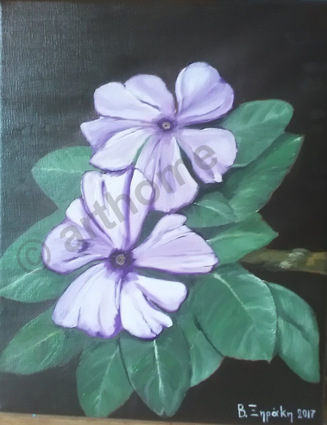 0164 - FROM MUMS GARDEN - SFAKAKI
